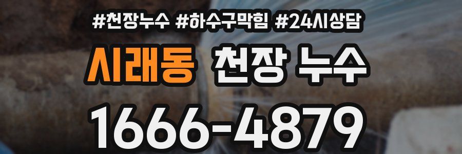 시래동 천장 누수