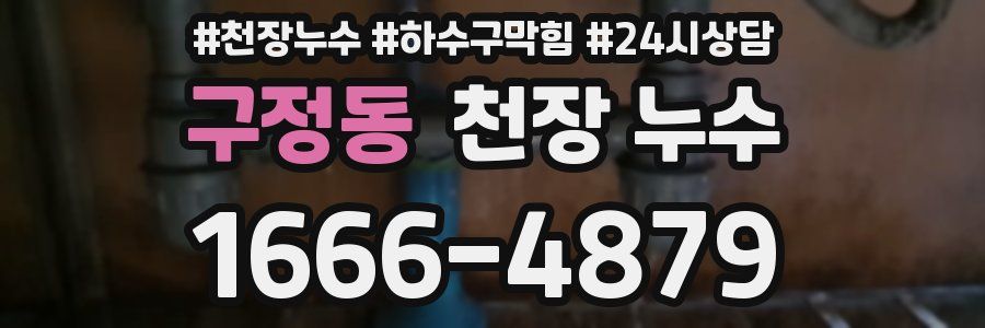 구정동 천장 누수