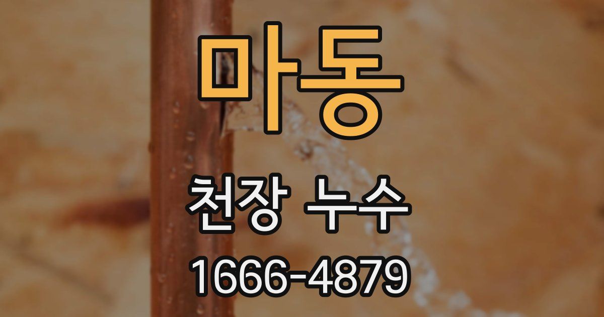 마동 천장 누수