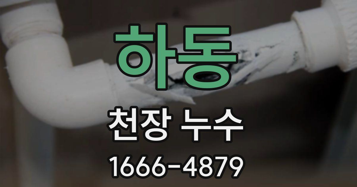 하동 천장 누수