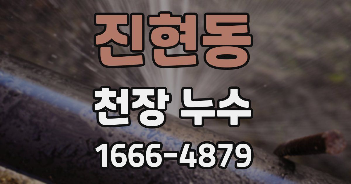 진현동 천장 누수