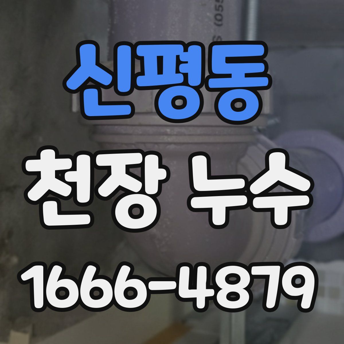 신평동 천장 누수