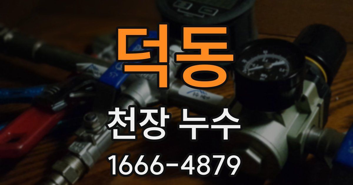 덕동 천장 누수