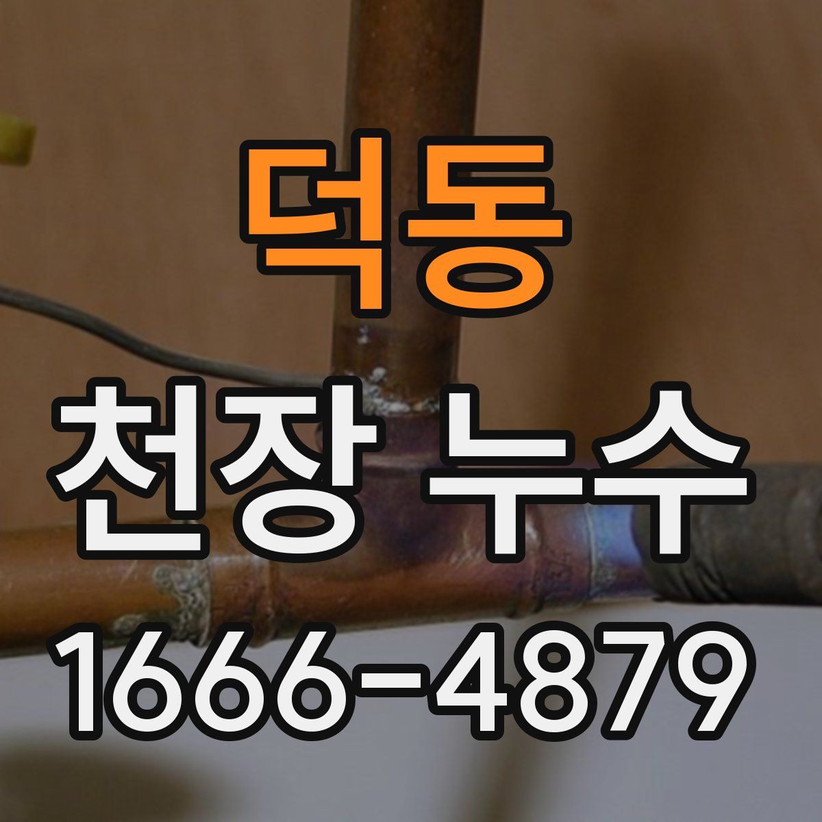 덕동 천장 누수