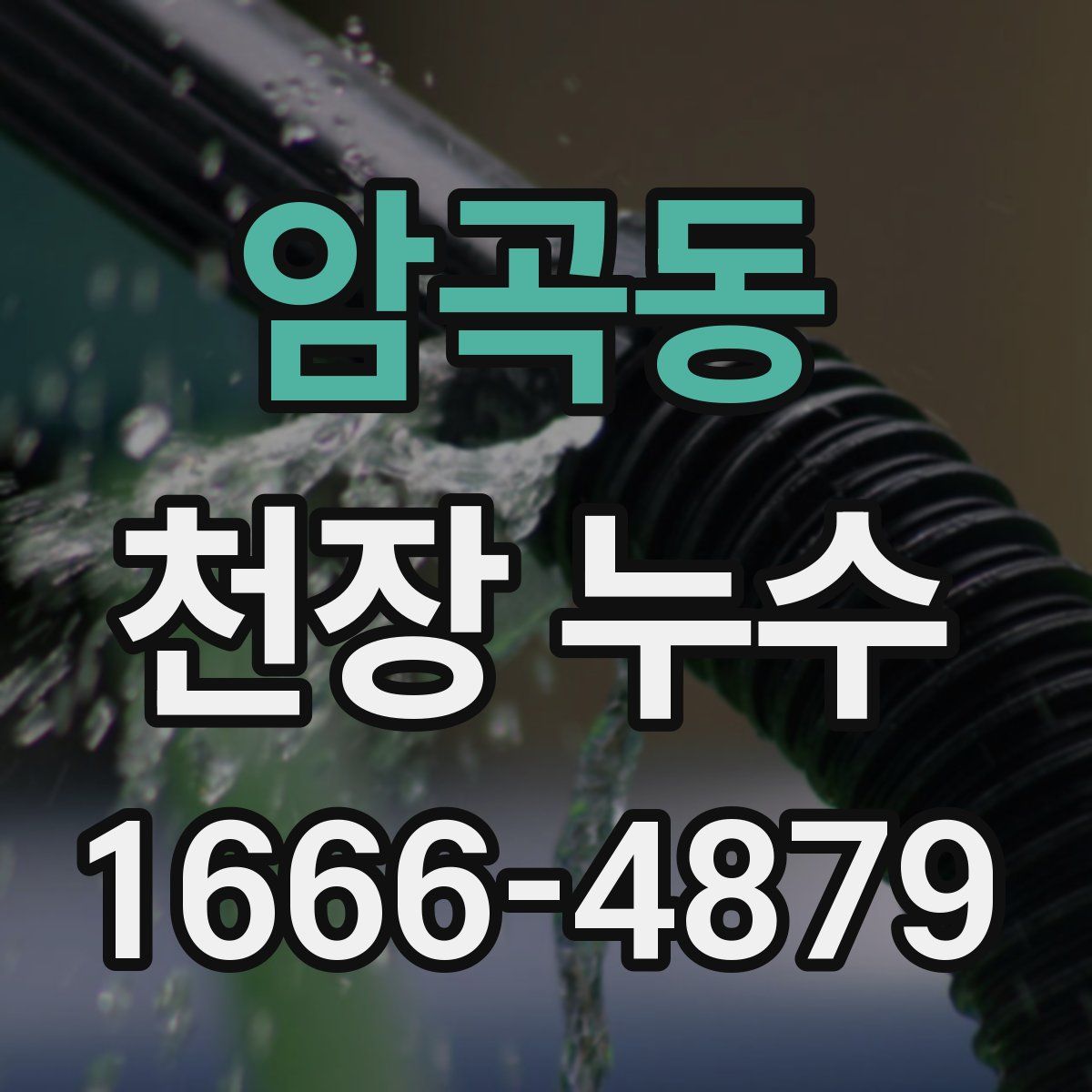 암곡동 천장 누수