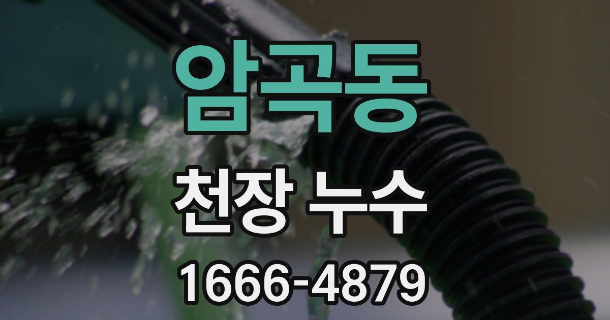 암곡동 천장 누수