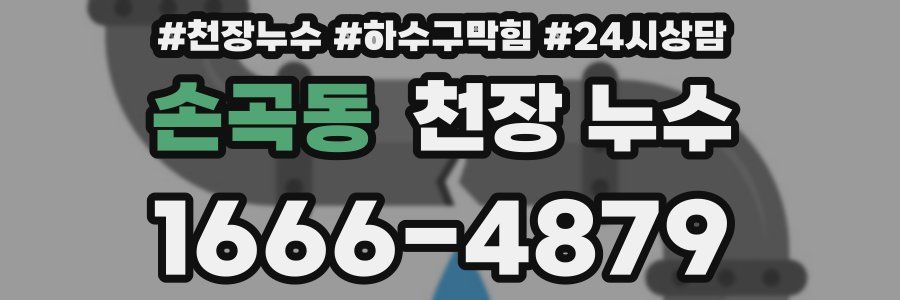 손곡동 천장 누수