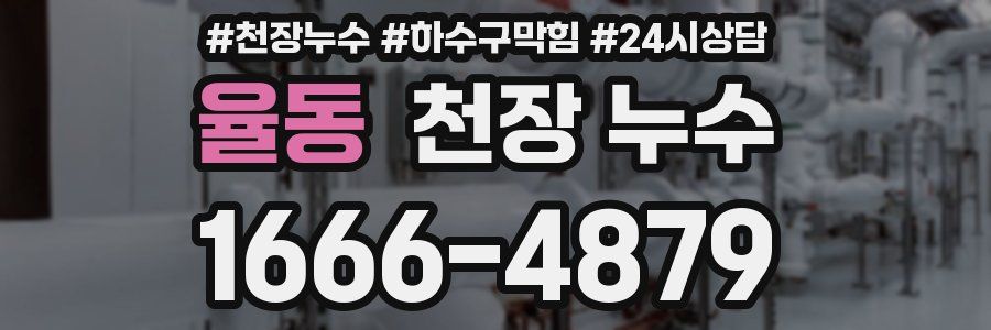 율동 천장 누수