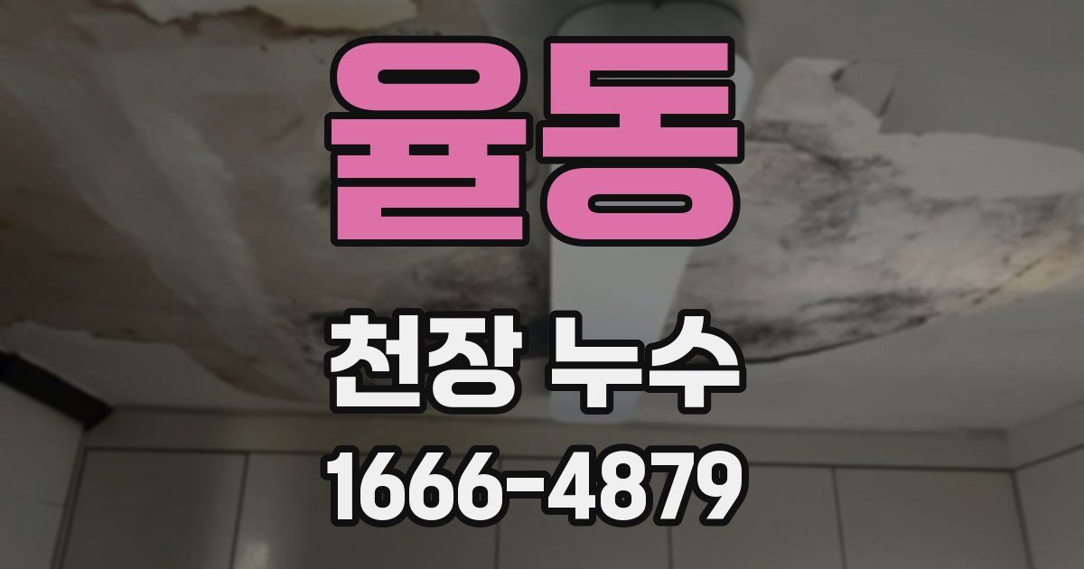 율동 천장 누수