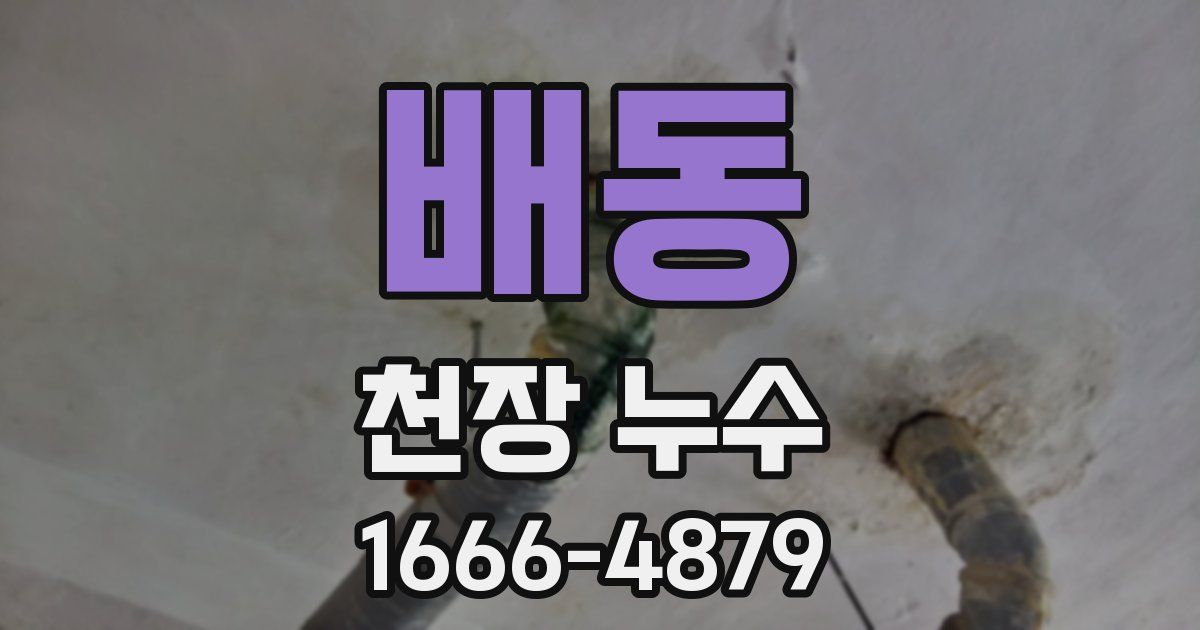 배동 천장 누수
