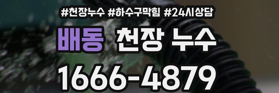 배동 천장 누수