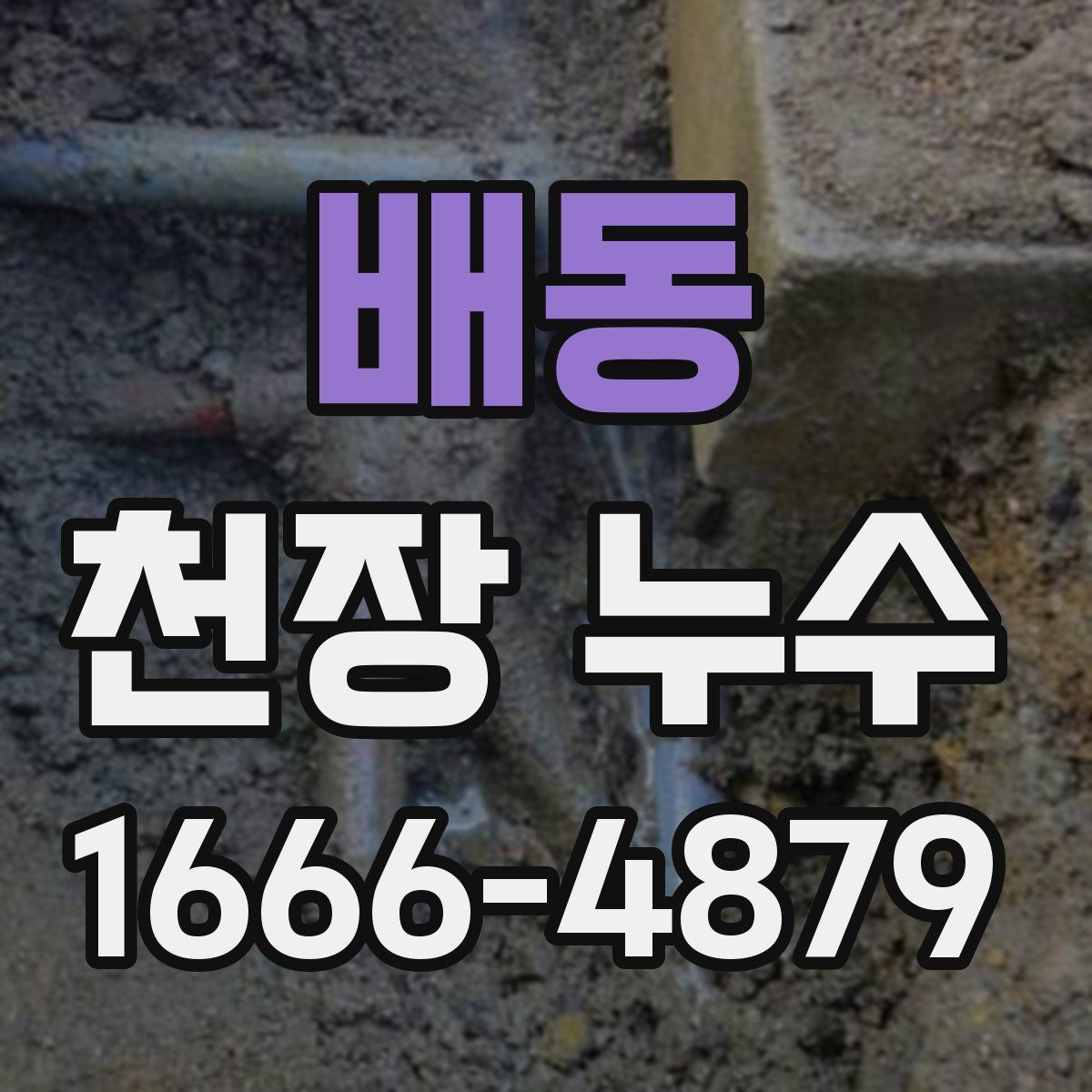 배동 천장 누수