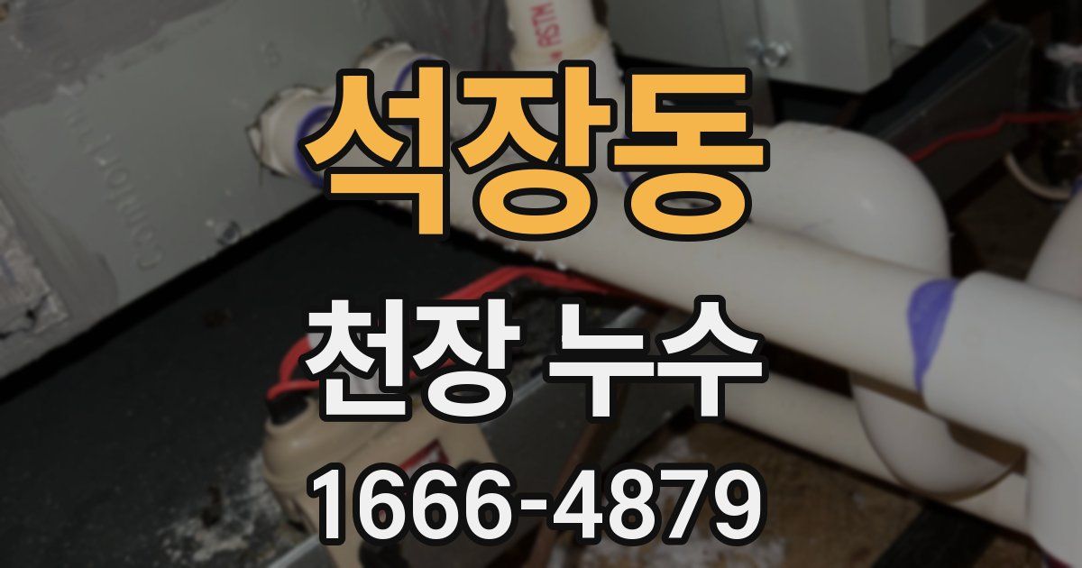 석장동 천장 누수