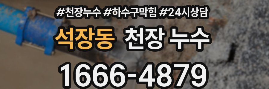 석장동 천장 누수