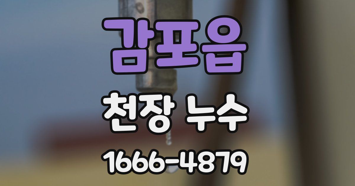 감포읍 천장 누수