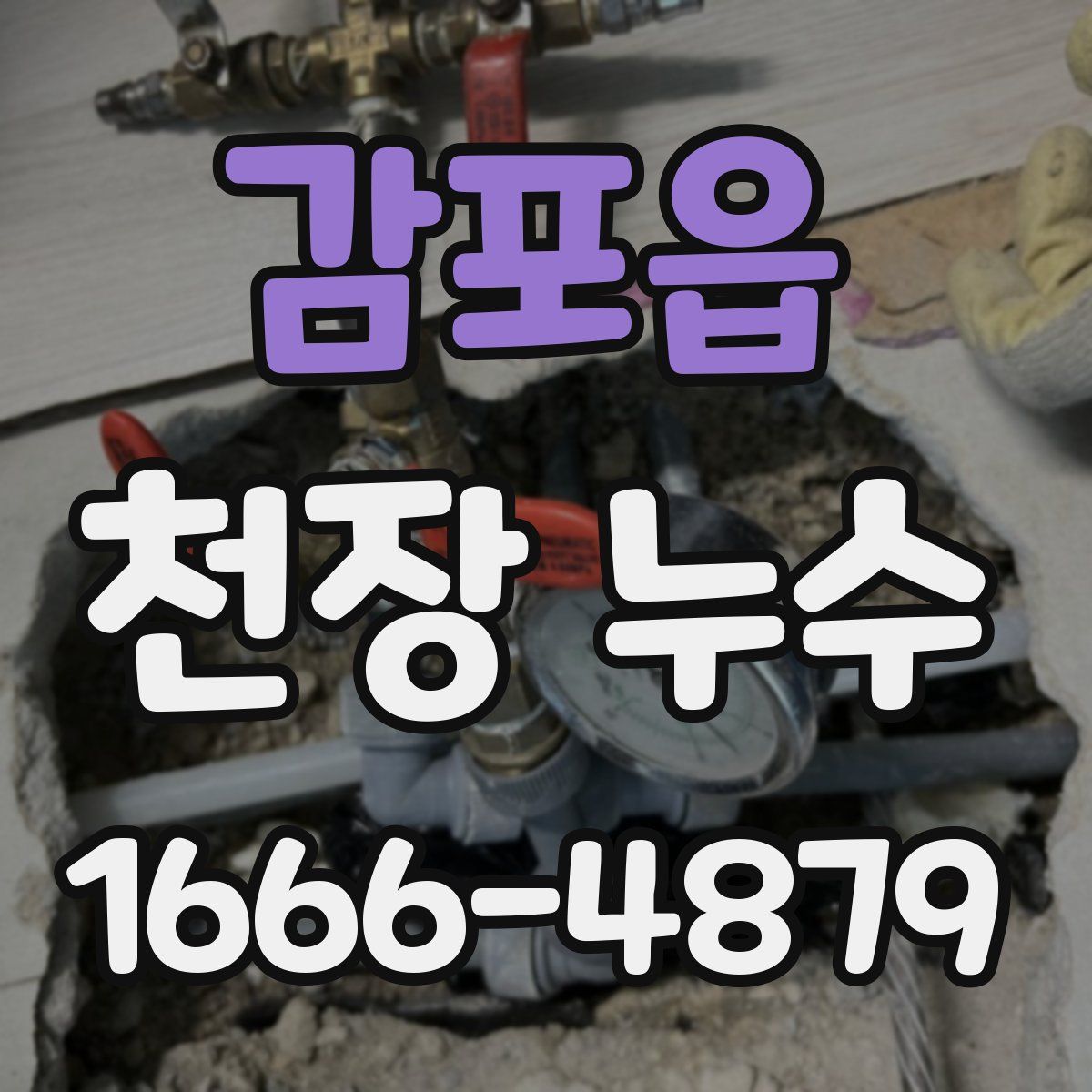 감포읍 천장 누수