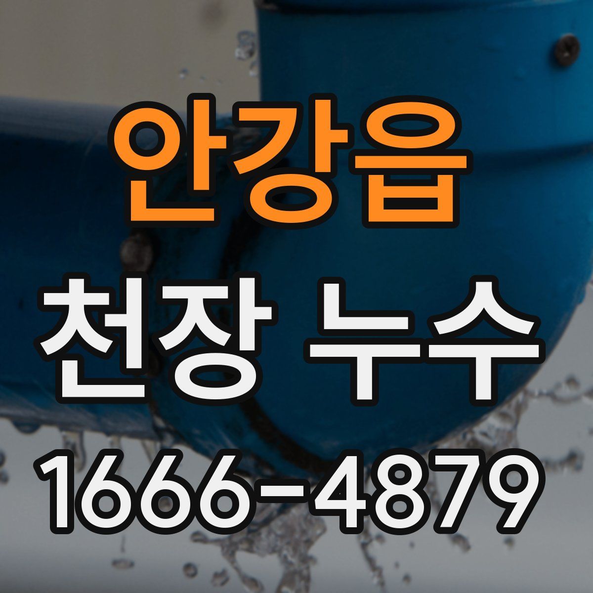 안강읍 천장 누수