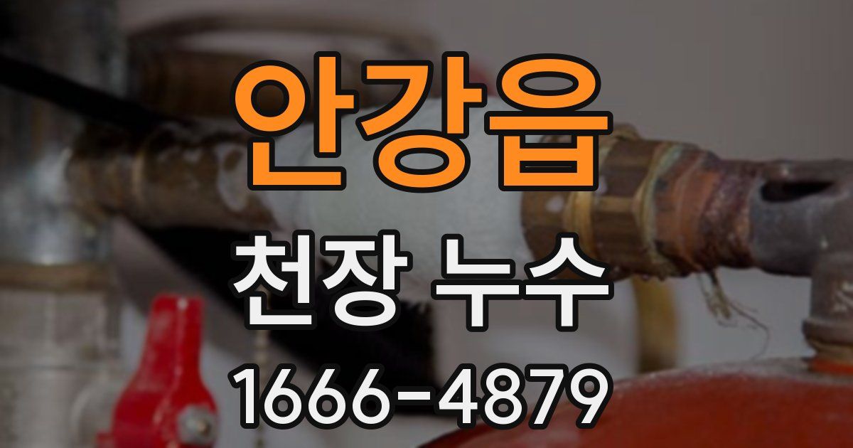 안강읍 천장 누수