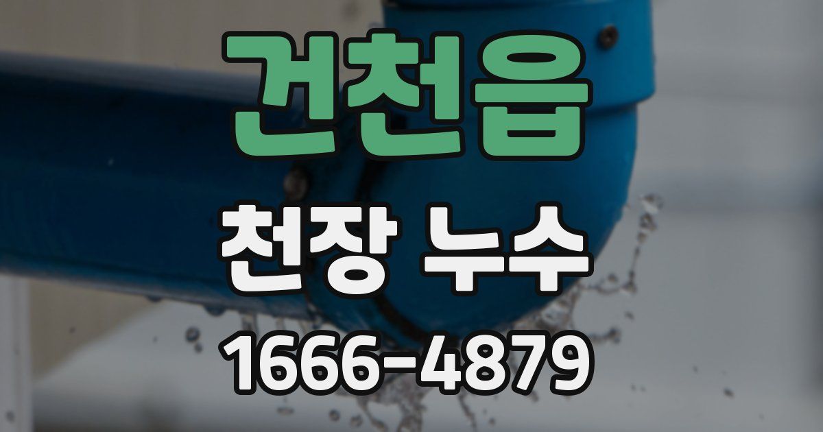 건천읍 천장 누수