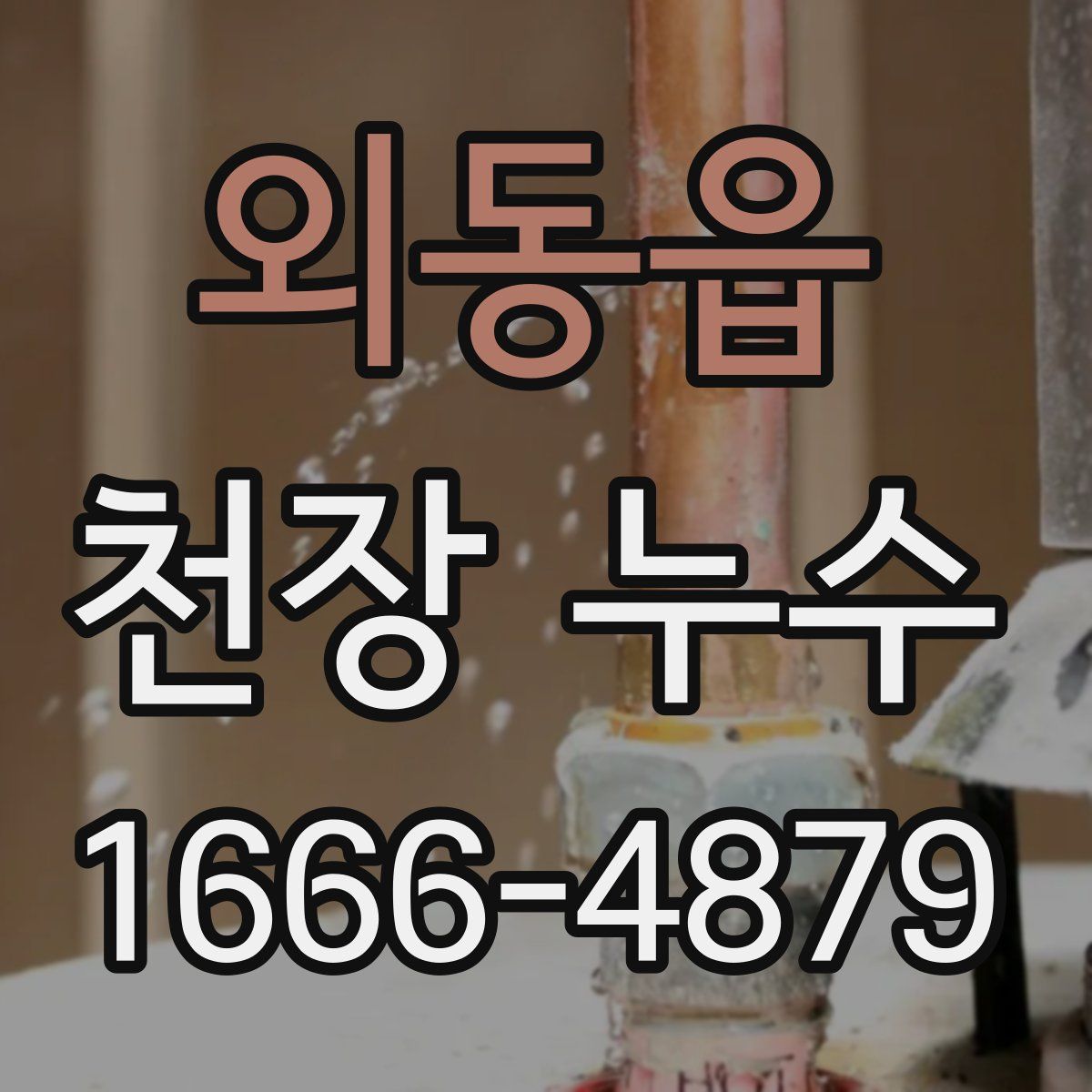 외동읍 천장 누수