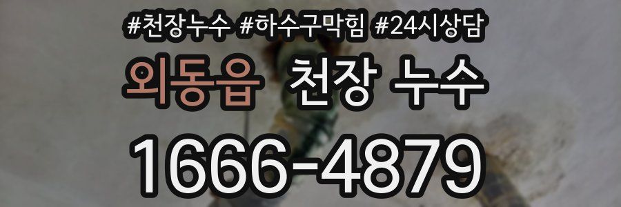 외동읍 천장 누수