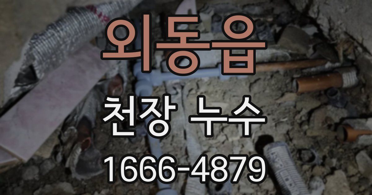 외동읍 천장 누수
