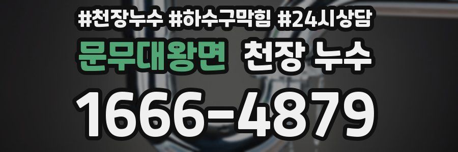 문무대왕면 천장 누수