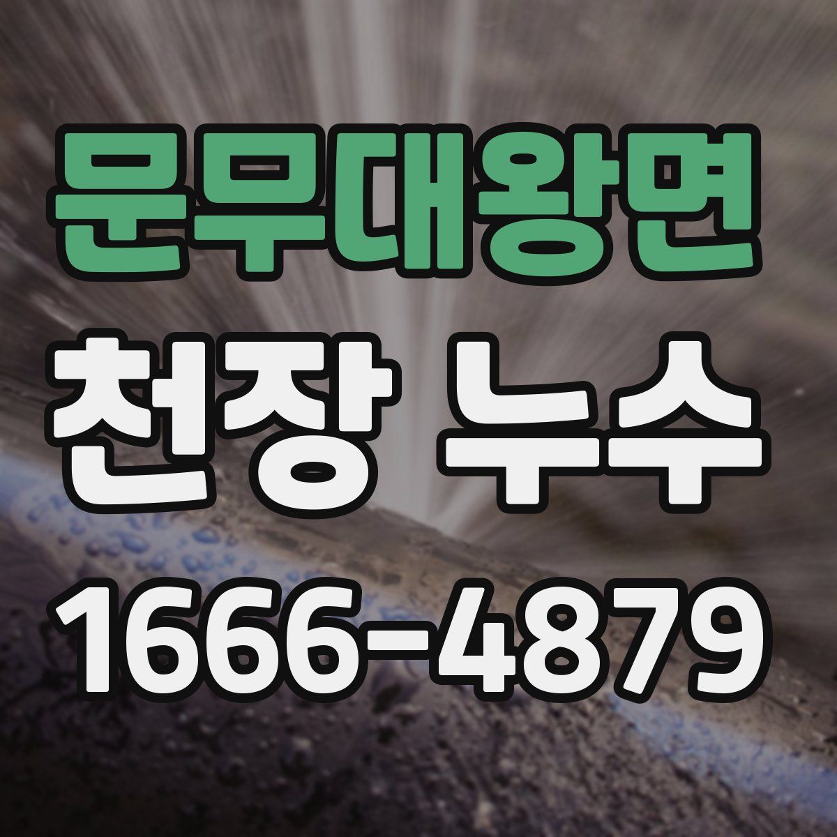 문무대왕면 천장 누수