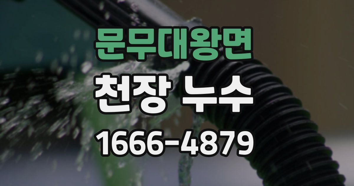 문무대왕면 천장 누수