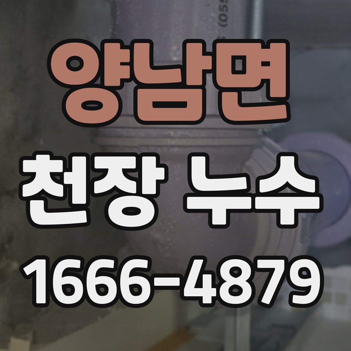 양남면 천장 누수