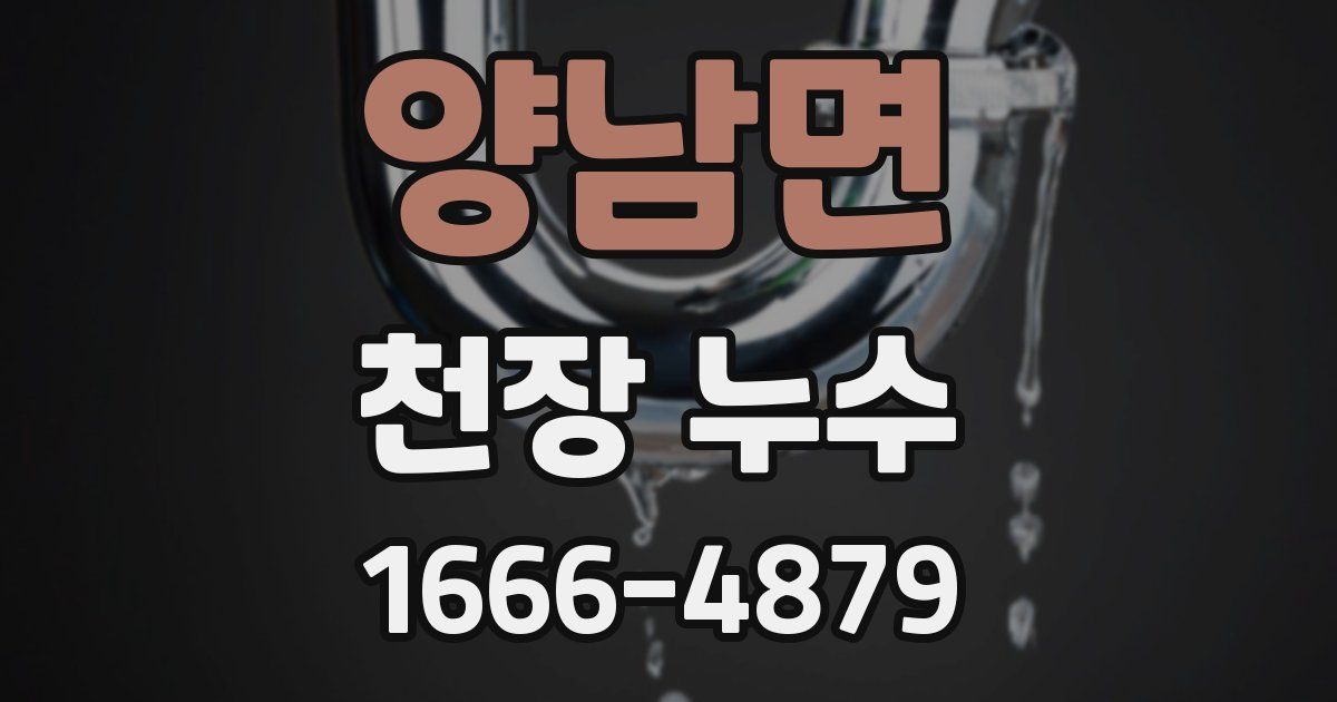 양남면 천장 누수