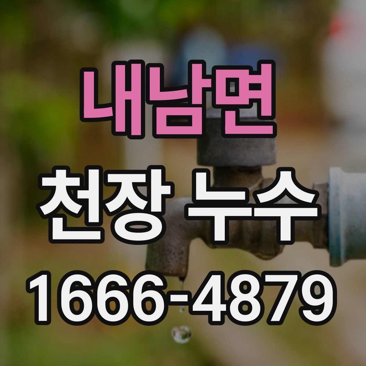 내남면 천장 누수