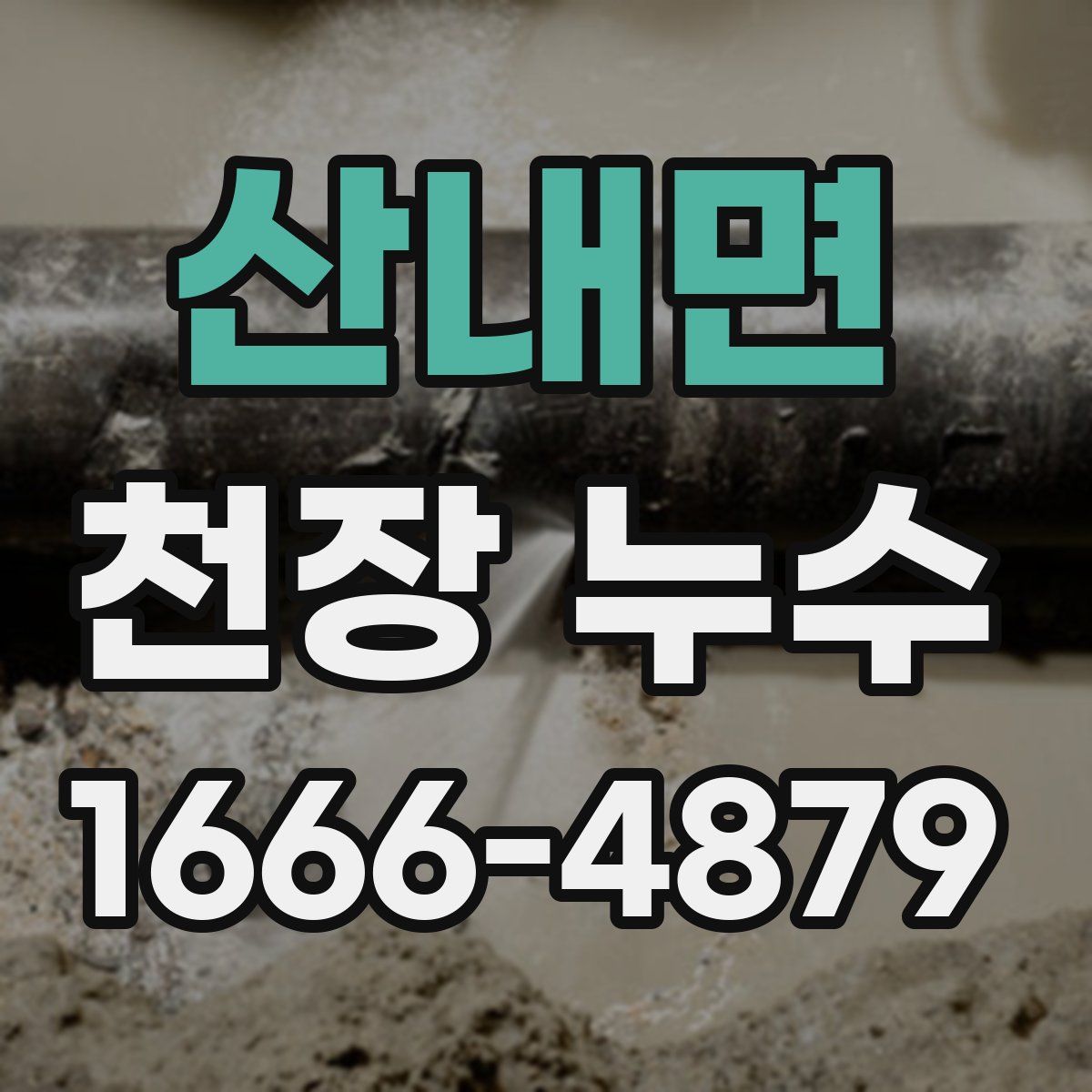 산내면 천장 누수