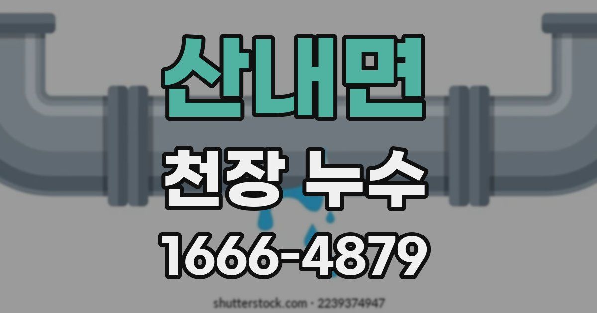 산내면 천장 누수