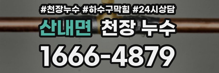 산내면 천장 누수