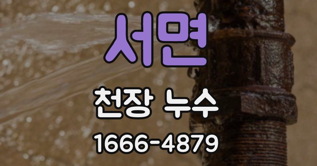 서면 천장 누수