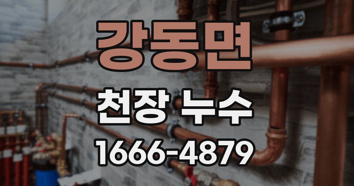 강동면 천장 누수