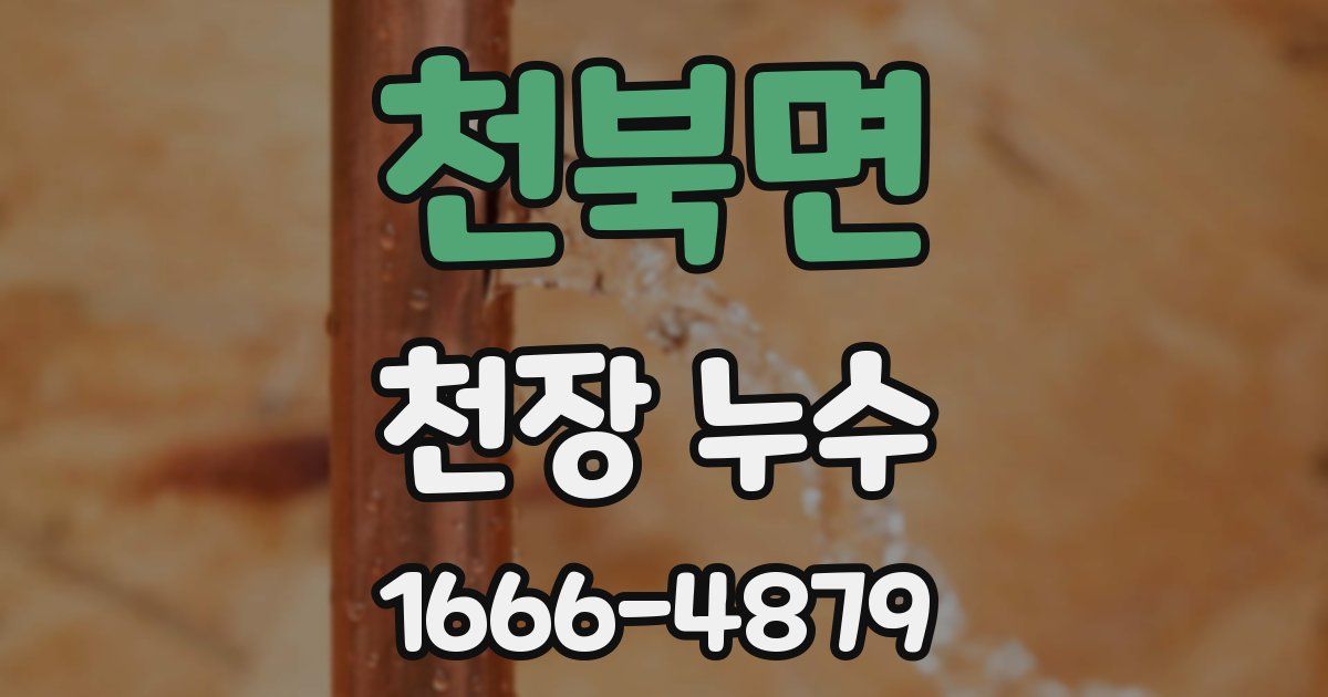 천북면 천장 누수