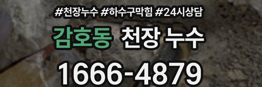 감호동 천장 누수