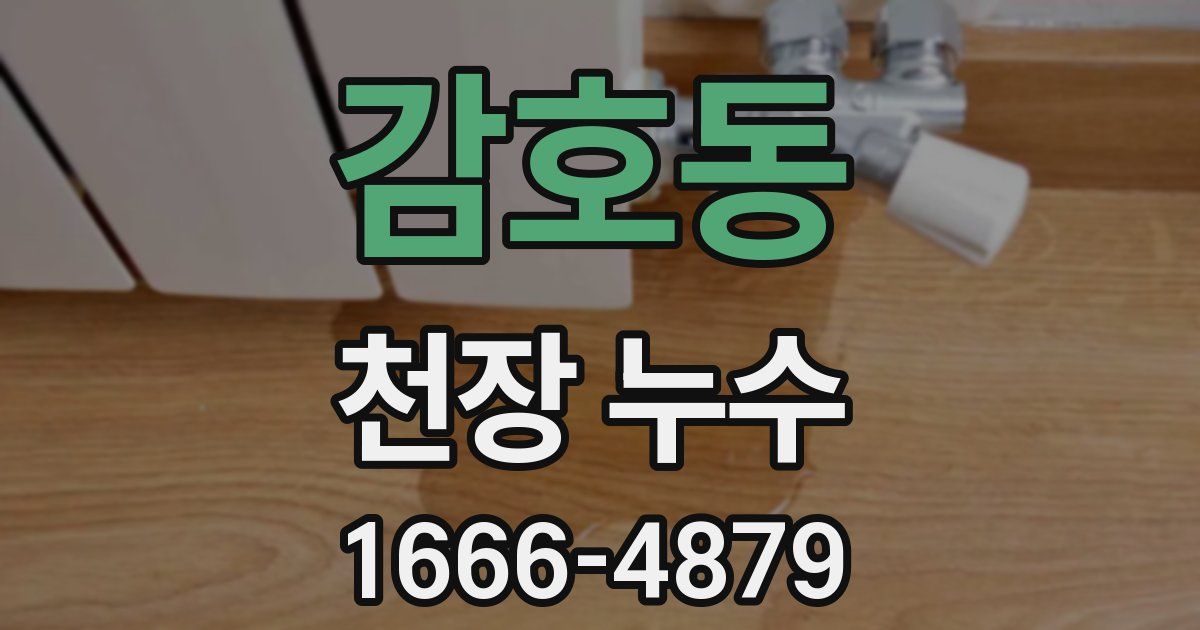 감호동 천장 누수