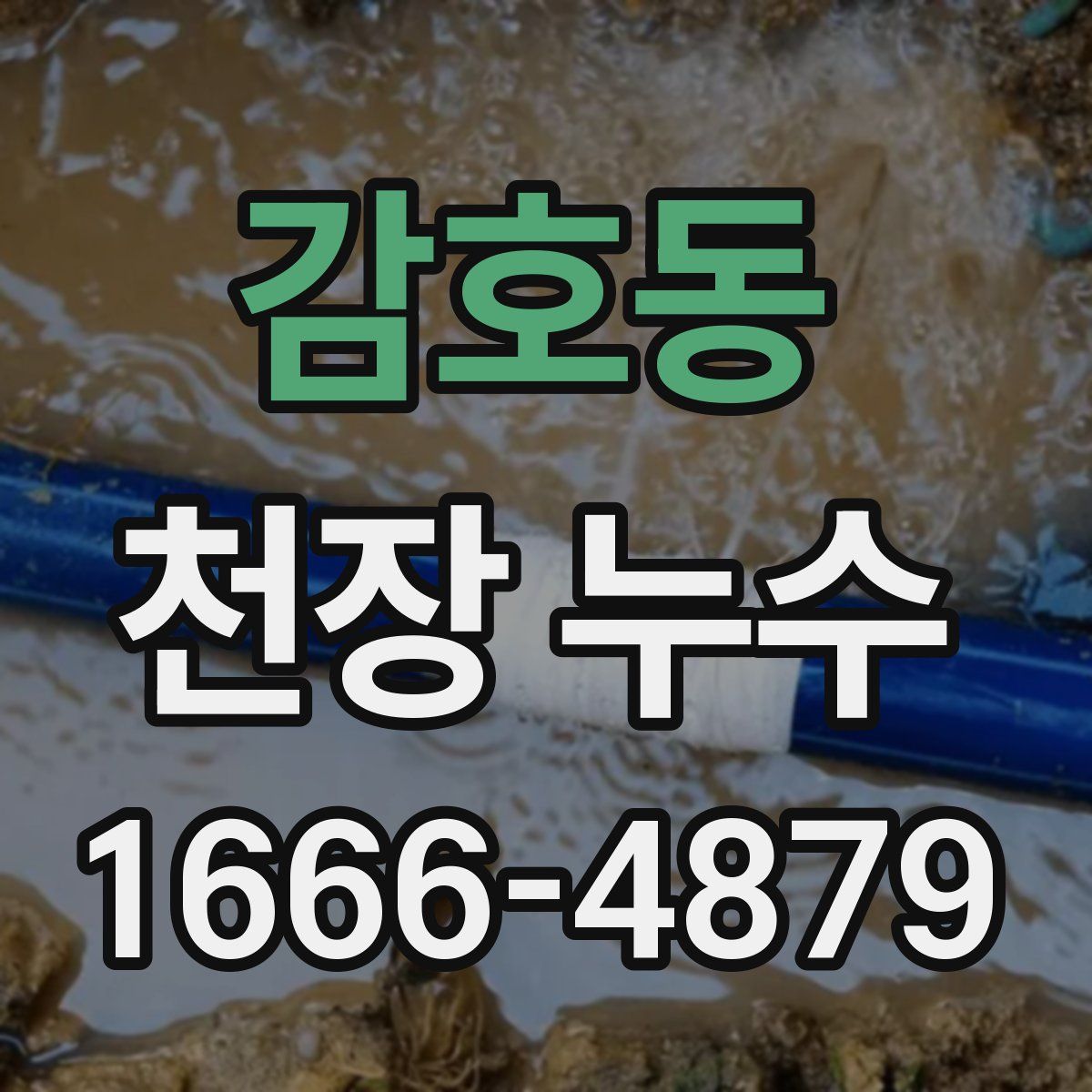 감호동 천장 누수