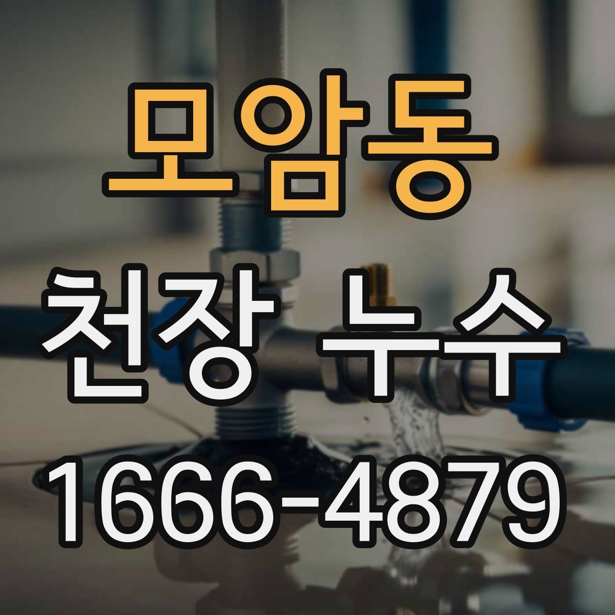 모암동 천장 누수