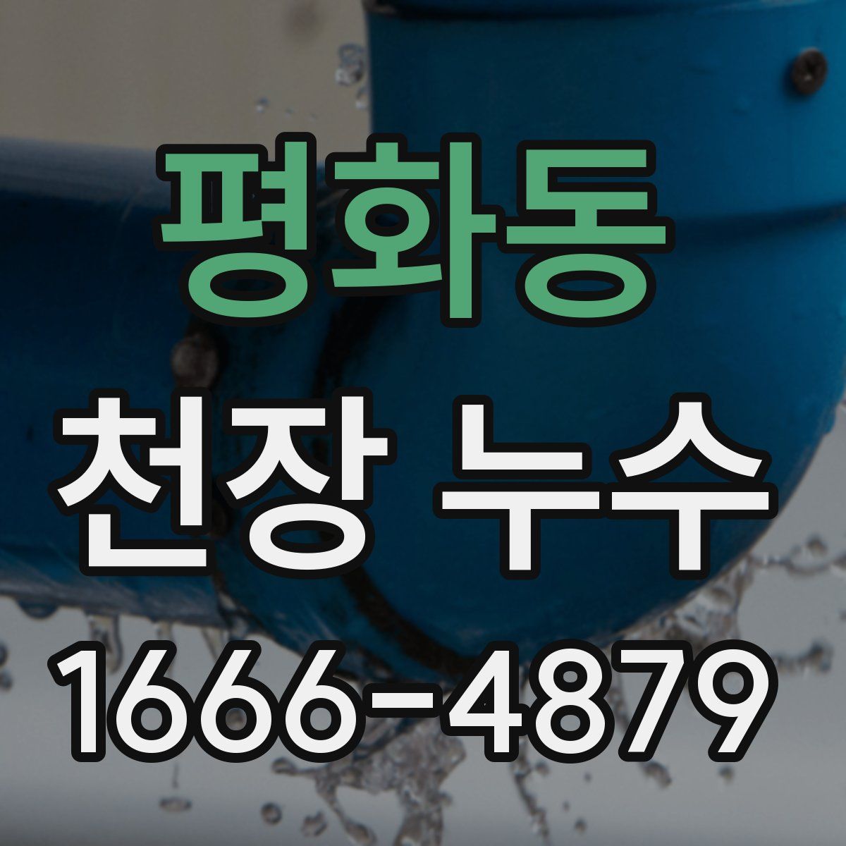 평화동 천장 누수