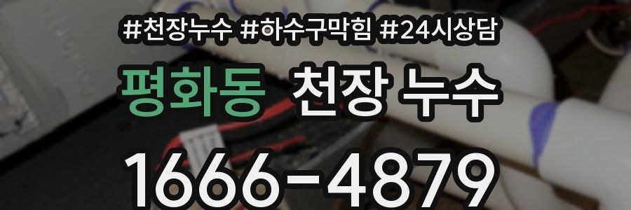 평화동 천장 누수