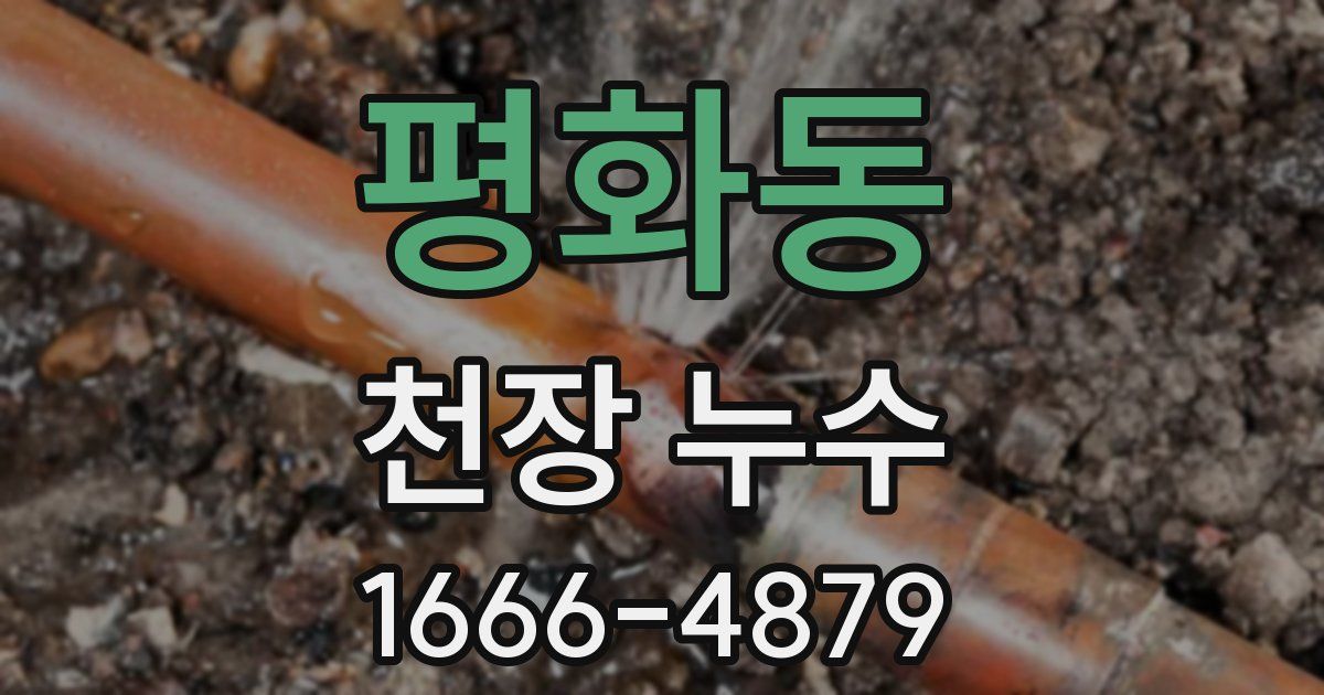 평화동 천장 누수