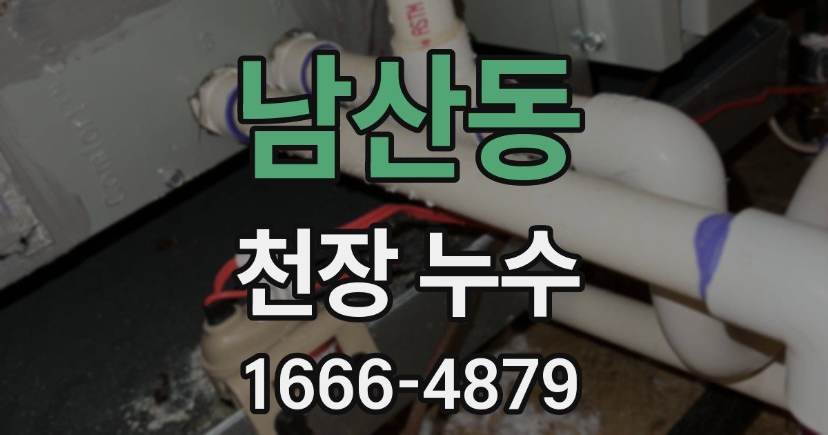 남산동 천장 누수