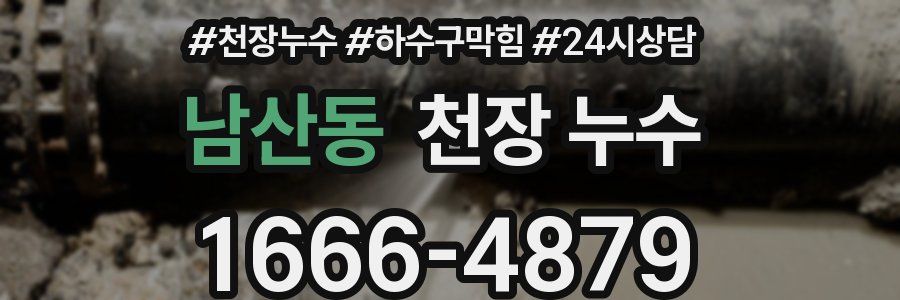 남산동 천장 누수