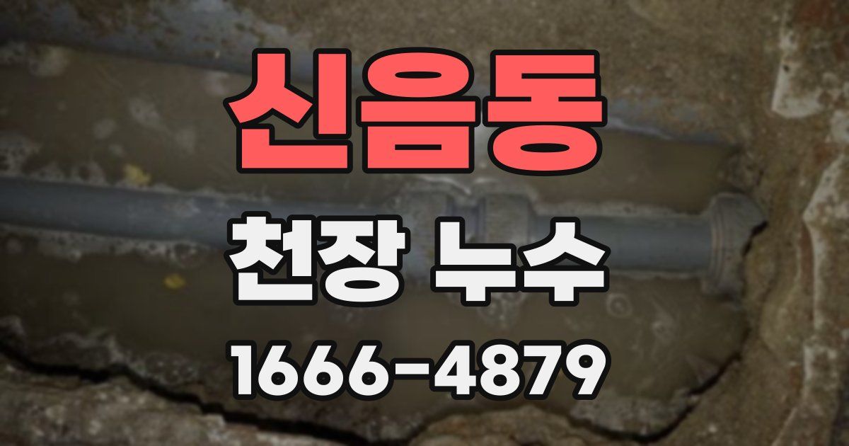 신음동 천장 누수