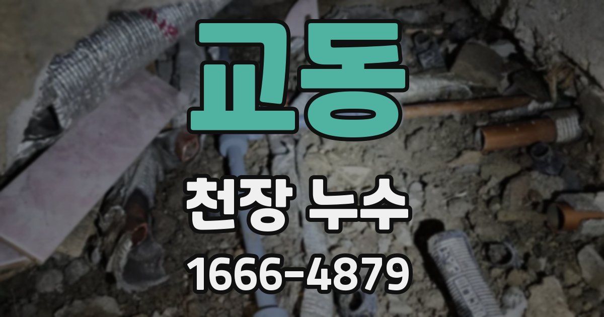 교동 천장 누수