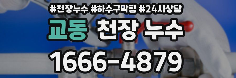 교동 천장 누수